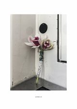 {Offrande (deux orchidées avec papier aluminium), Manoppello, 14 février 2019}, 2020