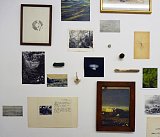 {Compositions naturalistes,} 2017 (détail)