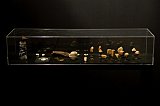 Exposition {{Jean-Luc Blanc, Opéra Rock}}, 2009