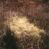 {Observation dans le paysage, Gironde}, 1980