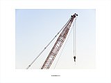 {Grue (matin) #1, Bordeaux, 11 décembre 2013}
