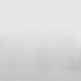 {Sans titre 6}, 2007