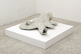{Pieuvre végétale,} 2015 