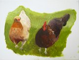 {Les poules, même en peinture (14)}, 2019