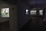 Somnambules, exposition à la Fondation Bullukian, Lyon, 2016