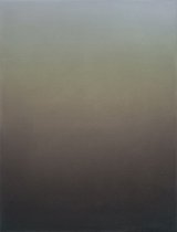 {Diffuse gris-versicolore}, 2016