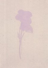 Révolution Violette, Irak, 2005 Viola diversifolia, floraison : janvier