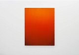 {Diffuse orange-kesari}, 2019