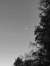 {Sans titre 7}