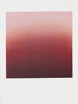 {Diffuse rose-geruva}, 2020