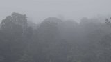 Brouillard 1