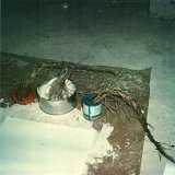 { {{Polaroïd}} }, Fargues-Saint-Hilaire, 1980