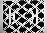 {Sans titre} (collaboration Camila Oliveira Fairclough / Pierre Labat), 2013 