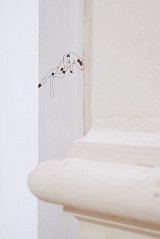 Exposition {Ancora !}, 2007