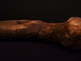 {Fémur gauche - Moana Fa'a'aro}, 2016 (détail)