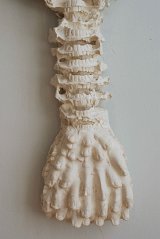 Détails