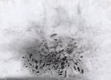 {éclats}, 2011