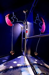 {L'humilité sèche la tête en bas, là où le miroir se crée}
