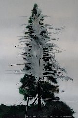{Le son du tonnerre}