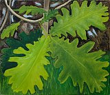 {Feuilles du chêne}, 13 avril