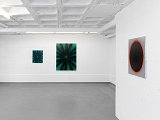 Vue de l'exposition Dark Star, avec David Malek et Blair Thurman, Ribordy Contemporary, Genève (CH), 2016