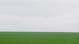 {Sans titre 6}, 2009