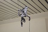 {Puppet 1 (ear)}, 2017