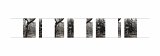 {Suite n°10}, 2022