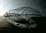 {Nasse,} 1995