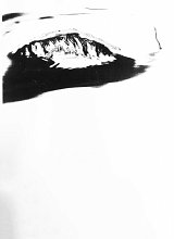 {L'apparition}, 2020