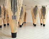 {13 genévriers,} 1986