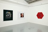 Vue de l'exposition Le Faux Miroir - « L'art est un mensonge qui nous fait réaliser la vérité ... », Rodolphe Janssen Gallery, Bruxelles (B), 2010 Avec Tauba Auerbach, Anne Collier, Alex Hubbard, Nathan Hylden, Jacob Kassay, David Malek, Peter Peri, Josh Tonsfeldt David Malek, Red Icosahedron (2010) (à droite) Huile (glycéro) sur toile, 61 cm x 6 côtés Ø 123 cm Collection privée