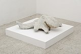 {Pieuvre végétale,} 2015 