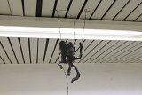 {Puppet 1 (ear)}, 2017