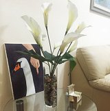 {Swan at East Coral Gables}, 2017