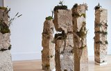 {Temple of Seeds}, 2023