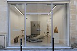 Vue de l'exposition personnelle Mangrove