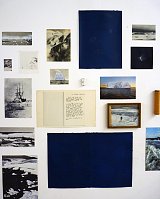 {Compositions naturalistes,} 2017 (détail)