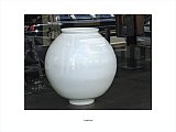 {Vitrine (avec grand vase blanc), New York, 19 juin 2004}