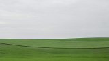 {Sans titre 1}, 2009