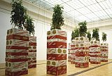 {Jardin d'hiver,} 1998