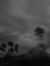 {Sans titre 13}