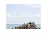 {Bord de mer, Saint-Marc-sur-Mer, 24 juillet 2010}