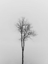 {Sans titre 19}