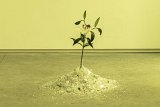 {Qui evadet ? (Qui en réchappe ?)}, 2023