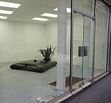 {Jardin carré 1998,} 2012