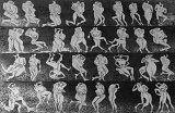 {Danse}, 1997