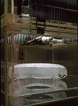{Cristal Liquide,} 1982 (détail)
