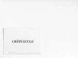 {Crépuscule (Jérusalem, 29 août 2011),} 2013