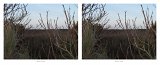 {Une seconde avant… une seconde après - 04/03/13, 18:59:00}